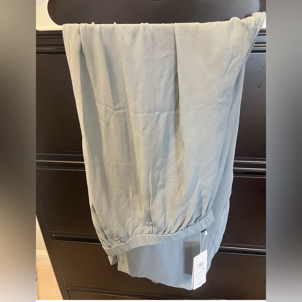 NWT EILEEN FISHER Silk Georgette Crepe Pants -2X